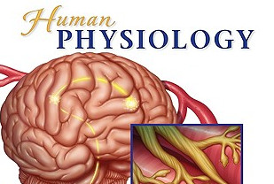 Physiology